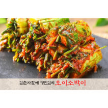 김춘자명인 오이소박이 1KG 2KG 3KG 5KG 10KG 아삭한 엄마손맛 당일제조 국산재료