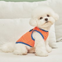 [쁘띠도그] 포켓나시티_여름 강아지옷/애견티, 색상:포켓나시티_옐로우|사이즈:XL