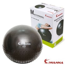 멀티 짐볼 65cm 블랙 보수 밸런스볼 운동 하프짐볼 teor11*0412348gl, 본상품선택