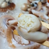 서해안 알주꾸미 알배기 쭈꾸미 1kg 생물 산지직송, 주꾸미 1kg (7-12미 내외)