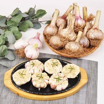 [푸르젠] 충남 서산 난지형 마늘 (짱아찌용), 1개, 3kg(대)