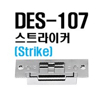 전기정 스트라이커 DES-107 STRIKE