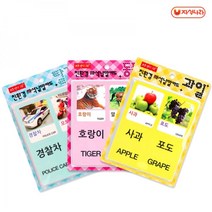 현hmvy_자석낱말카드 교육용 어린이학습 학습용 공부♥sngr1, ♥sngr1과일