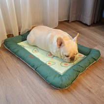YISOKO 여름 쿨펫매트 강아지쿨방석, 그린/침대
