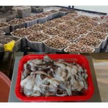 여수 손질 새조개 자연산 500g 벌교 꼬막, 여수 손질 새조개500g