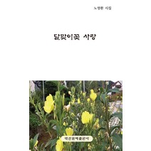 달맞이꽃 사랑:노영환 시집, 대산문예, 노영환