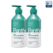 [애경] 더마앤모어 판테놀 가려운 두피 비듬 케어 샴푸 600ml x 2개, 상품명:판테놀 샴푸 600ml x 2개