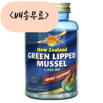 뉴질랜드 초록입홍합 그린 500mg 90개입, 1개, 90개