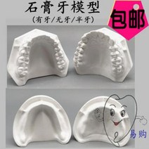 치아모형 재료상 입모형 모양 치과 석고 표준치열 유치악, 01 치석고 틀이 있다