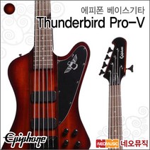 에피폰 Thunderbird Pro-V, 에피폰 EBTP5VSBH1/VS