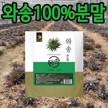 와송분말 생와송 500g, 1개