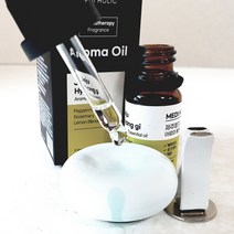 천연 규조토 아로마 디퓨저 아로마테라피 에센셜오일 발향기 탈취 제습 차량용 가정용, 천연 규조토 아로마 디퓨저 레그린