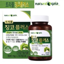 내츄럴가이아 2개월 징코플러스 은행잎추출물, 1통