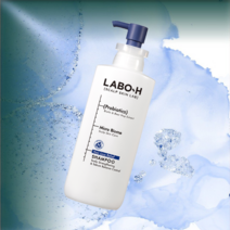 라보에이치 탈모증상완화 두피강화 노세범 샴푸 400ml, 1개, j083-basic