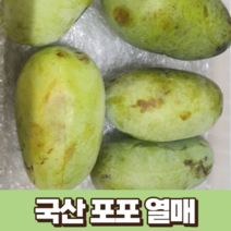 국산 포포 열매 1kg 국내산 농장 산지 직송 포포나무열매 포포생과 정읍 고창 영동 포포열매 이색과일 망고맛 바나나맛 파인애플맛 후숙 과일, 1개