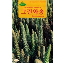 와송씨앗 3000립, 단품