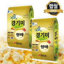 [2022년 햅쌀] 이슬찬 경기미 향미쌀 20kg(10kg 2개) 구수한 향기의 향기쌀, 단품