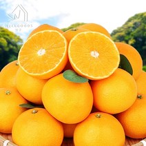 [웰굿] 산지직송 제주 달콤한 황금향 4.5kg(16-24과 중과), 상세 설명 참조