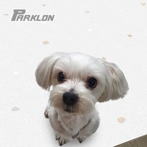 강아지매트 거실 DIY 애견 방수 반려 매트 베란다 쿠션 강아지 롤 묘 애견매트 ghddprjs*973886110gS, 무지그레이(10T)(2장)