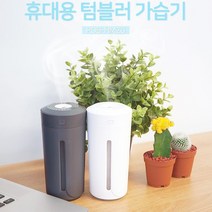 라온하우스 프리미엄 애니클리어 무드 가습기 USB형 차량겸용, 506038 그레이