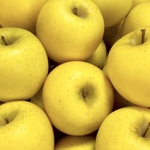 아삭아삭 고당도 프리미엄 시나노골드사과, 3kg 소과 (18-25과)