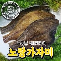 생선초밥밀키트 추천