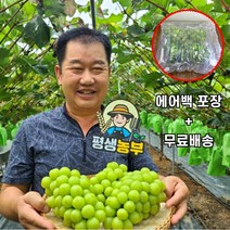 경북 김천 수출용 고당도 샤인머스켓, [1.5kg] 수출용 특등급(2송이내외)