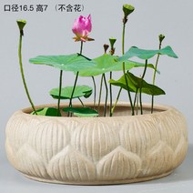 연꽃 수반 도자기 실내 연못 미니 정원 발코니 거실, 대형 연꽃 화분