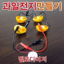 PGM1*^몰향앤미과학 과일 전지 만들기 멜로디 버저 1인용 실험키트 교육용 교구 학습 교재^*1췤pgm, a^^*옵션없슴