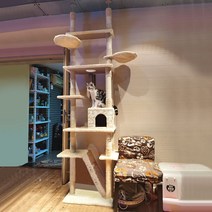 파티션캣타워 diy 대형 캣폴 높은 천장 고양이 켓타워, 베이지 인기모델