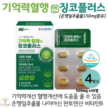기억력 혈행 징코플러스 은행잎추출물 나이아신 아연 판토텐산 징코 식약처인증, 30정, 500mg, 4박스
