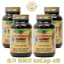 솔가 빌베리 추출물 안토시아닌 폴리페놀 60 베지캡슐 4병 고약사 약들약