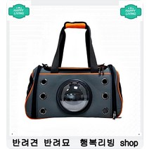 강아지 눈물자국 완화 눈건강 돕는 간식 애견미용빗 털빗 애견미용학원추천 개털빗