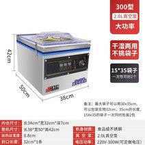 진공 포장기 업소용 진공팩 식품 씰링 포장기 압축기, 01.300형(단일펌프)