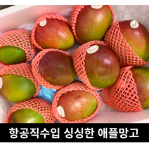 고당도 애플망고 2kg 4kg 선물세트 달콤한 브라질망고 그린애플망고 홍망고 가정용 선물용 애플 망고 프리미엄 초고당도 고당도 고 당도 무지개망고 무지개, 브라질 2KG(4-5과)