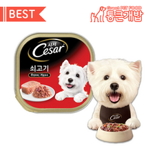 베스트 시저캔 100g 24개입 7가지맛 시저 쇠고기 닭고기 참치 치즈 불고기 양고기, 시저 소고기 100g 24개