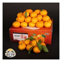 서귀포 하례마을 노지감귤 5kg+5kg ( L/2L 100과 내외)