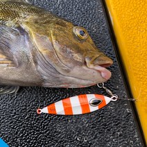 슬로우지그 SLW001 빅게임 메탈지그 지깅메탈 부시리 방어 삼치 대구 메탈, 250g, 01 실버 지브라