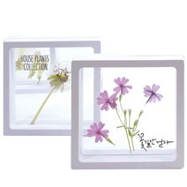 투명 액자_하바리움/압화/곤충 대 10인용 _ 257829EA, 쿠팡 10인용_대_받침A