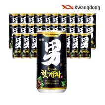 광동 힘찬하루 헛개차 180ml 미니캔 숙취음료 음료수, 120캔