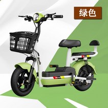48V 전기 자전거 전동 스쿠터 클래식 자토바이 스카닉, 그린