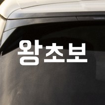 모노먼트 왕초보 초보운전 스티커, 흰색, M