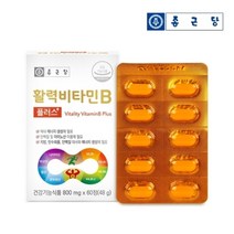종근당 활력 비타민B 플러스(800mgX60정) 1박스/2개월분, 활력비타민B 2개월분, 60정, 1통(2개월)