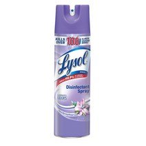 Lysol Disinfectant Spray, 1개, 538g