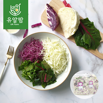 의령농산 유알팜 당일채소 당일제조 당일발송 양배추믹스 샐러드 100g 5팩 추가증정랜덤1팩, 양배추 믹스 샐러드 100g×5팩