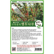 앵두나무 씨앗 50g, 없음
