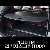 싼타페TM 러기지스크린(TUIX) S1859AP000