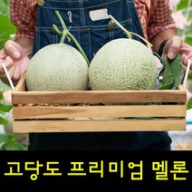 영화농산 프리미엄 멜론 28kg 곡성멜론 멜론가격 시세영화농산 프리미엄 멜론 28kg 곡성멜론 허니듀메론 칸탈로프멜론 하니원멜론 멜론가격 양구멜론 머스크멜론 여름과일 과일, 본상품