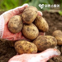 미쁜스토어 포실포실한 2022년 햇 감자 3kg 5kg 10kg 20kg, 1개, 감자 5kg 중(통13700구이용)