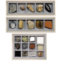 조암광물 조흔색광물표본 실험광물 화석표본 식물표본, 6 교과서나오는 교과서화석 6종